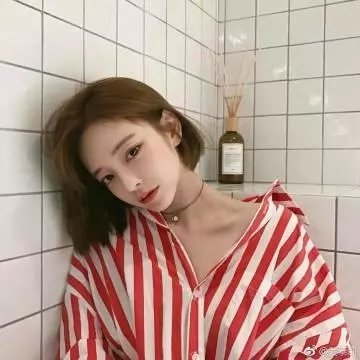 在森林的那边